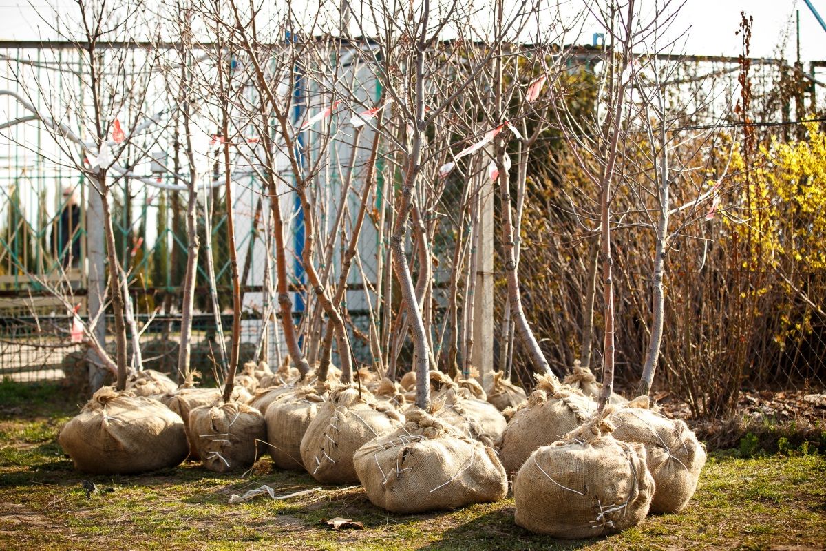 Весенние проекты-2020: что интересного ждет жителей Днепра от команды Геннадия Гуфмана 4