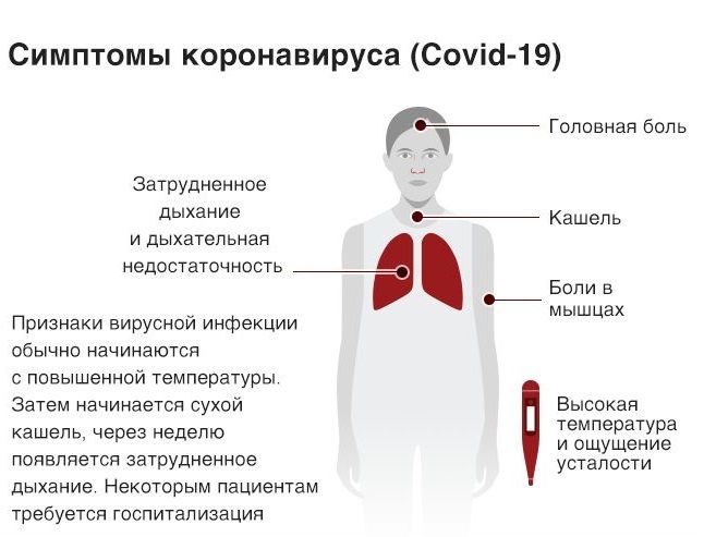 В Днепре врач-инфекционист рассказал, как в Украине лечат коронавирус и есть ли польза от масок 2