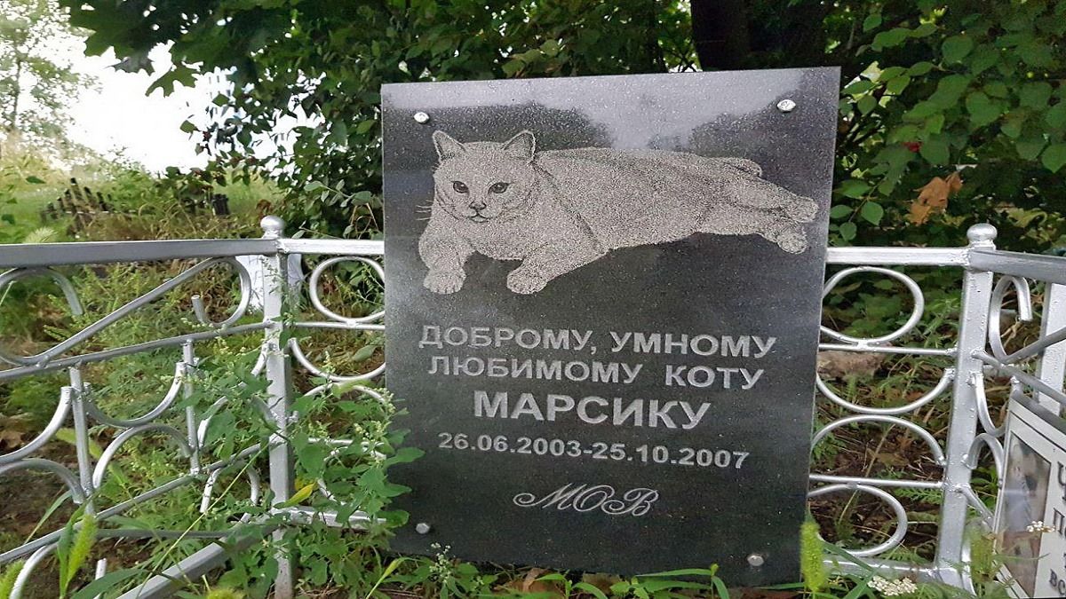 В Днепре построят комплекс для утилизации трупов животных: проект решения