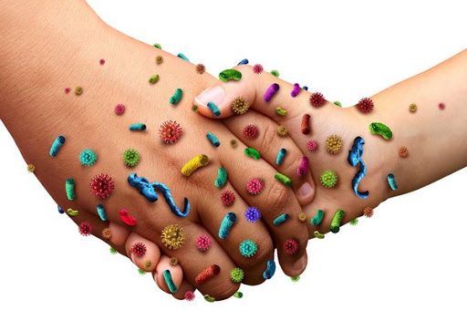 Мытье рук может уберечь человека от многих инфекций