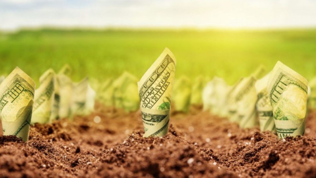 Не Березой единым: землями колоний Днепропетровской области интересуются фирмы экс-чиновников