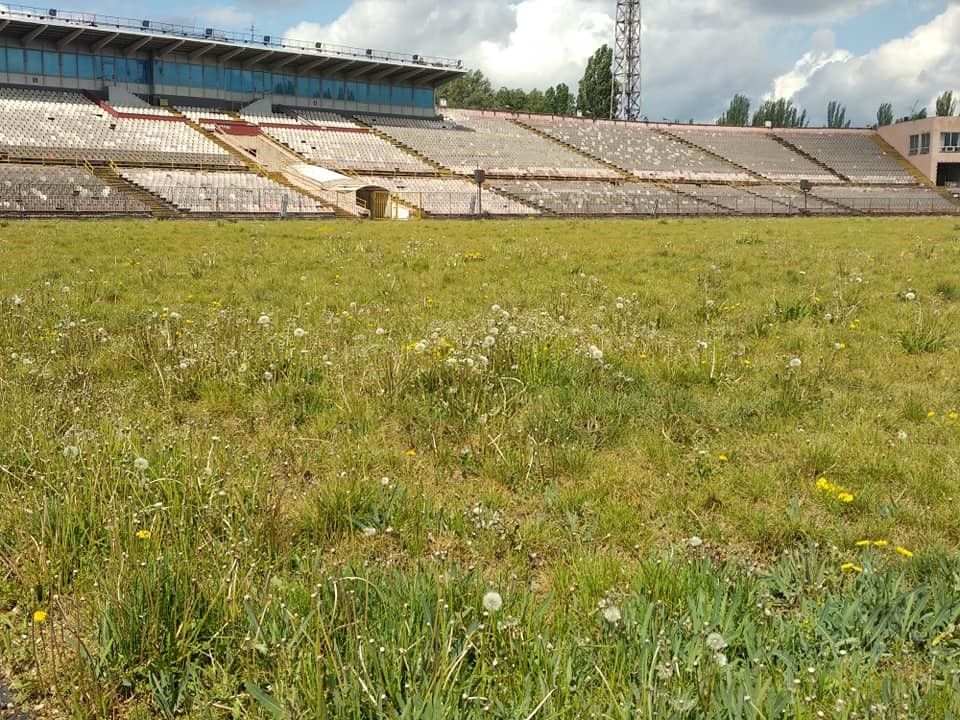 Теперь на поле стадиона «Металлург» в Кривом Роге можно собирать гербарий