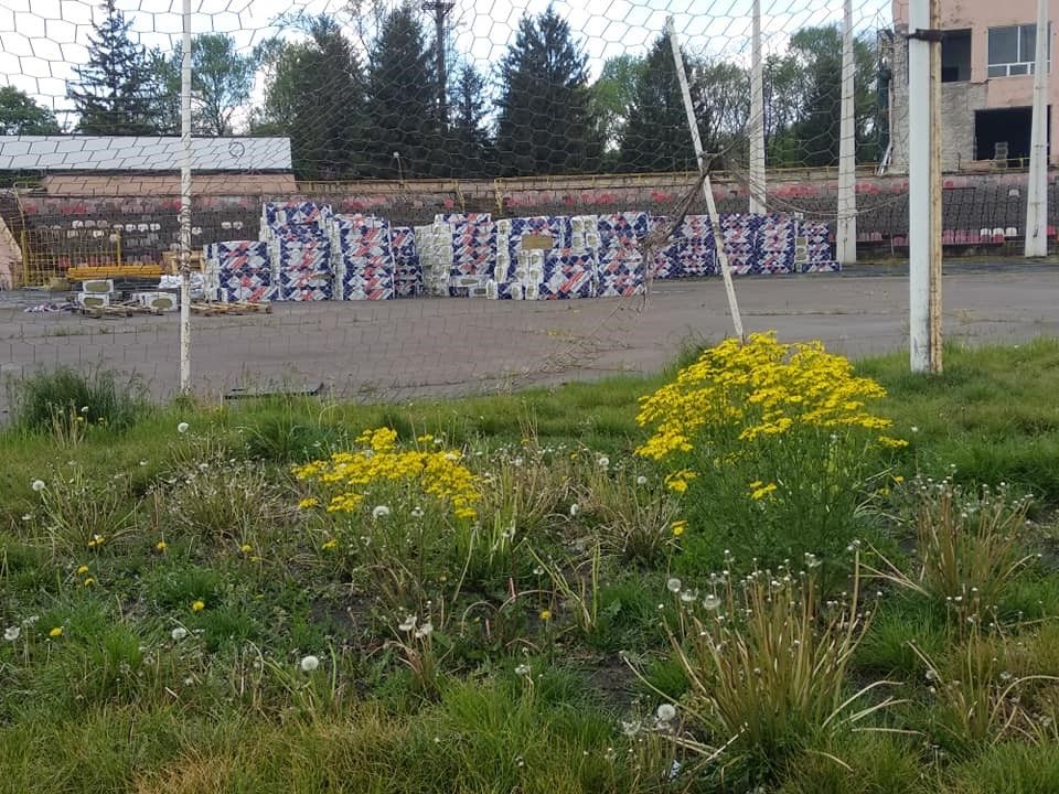 Заросли бурьяна во вратарской площадке