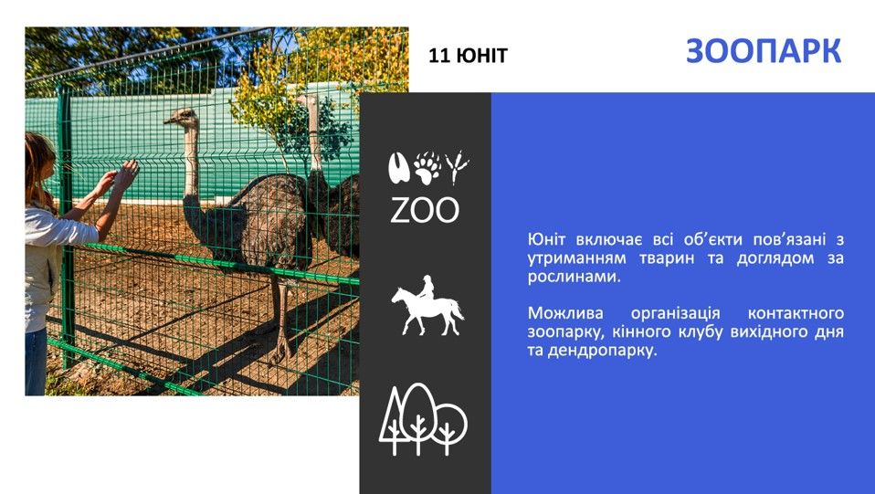 Кому без конкурса отдали в управление Межигорье Януковича и что там будет 10