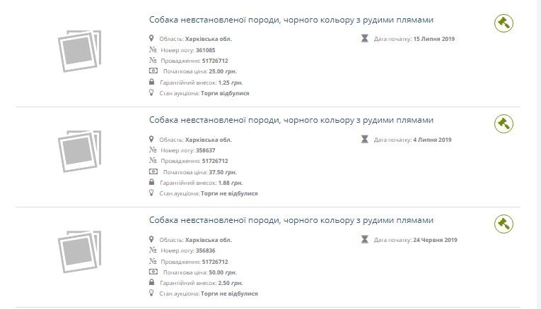 «В Украине продают собак с торгов за долги»: министр Малюська ответил на ситуацию 3