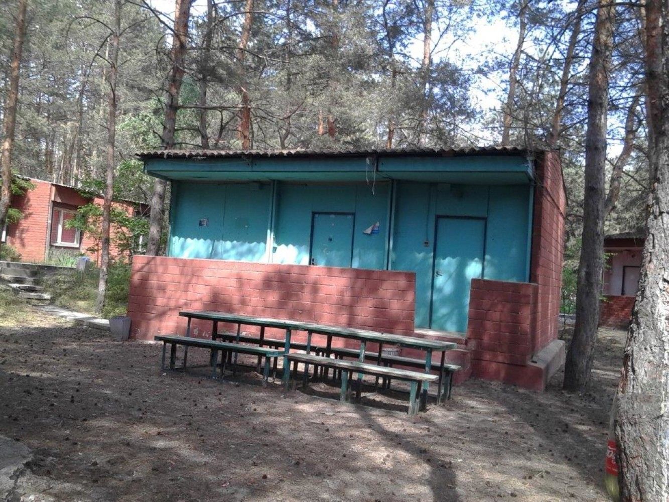 В элитном пригороде Днепра Укрпошта продает базу отдыха 5