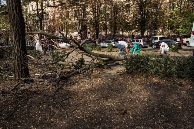 Ветки старых деревьев могут убить человека - случай с девушкой из Межевой тому подтверждение Ветки старых деревьев могут убить человека - случай с девушкой из Межевой тому подтверждение