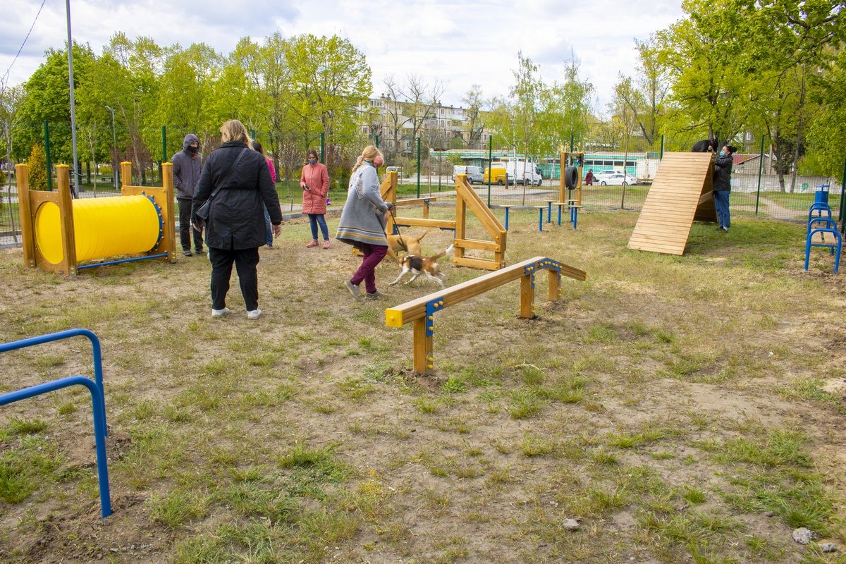 Выборы в Днепре: любимец публики Сергей Пустовой 3