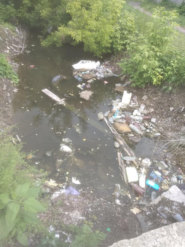 В Днепре за 95 миллионов обустроят озеро Куряче: что там будет 2