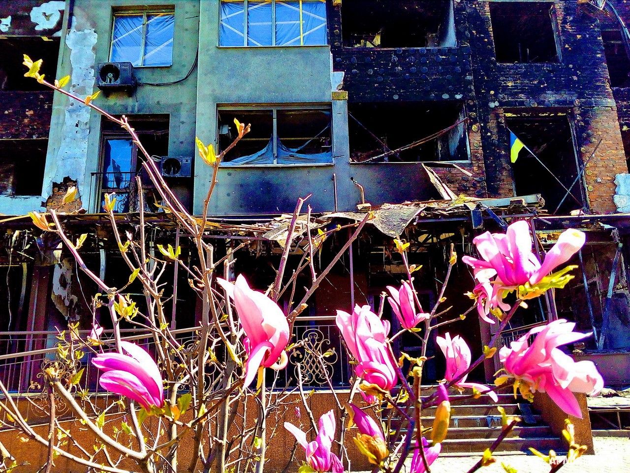 Потрібно вирішити питання використання заморожених активів рф для відновлення України