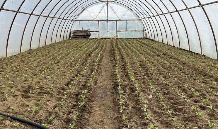 З початку дії програми виплачено 711,2 млн гривень 159 суб’єктам господарювання