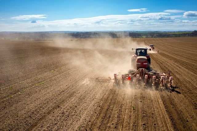 Аграрії Миколаївщини, Одещини, Хмельниччини і Херсонщини розпочали сівбу гречки та проса