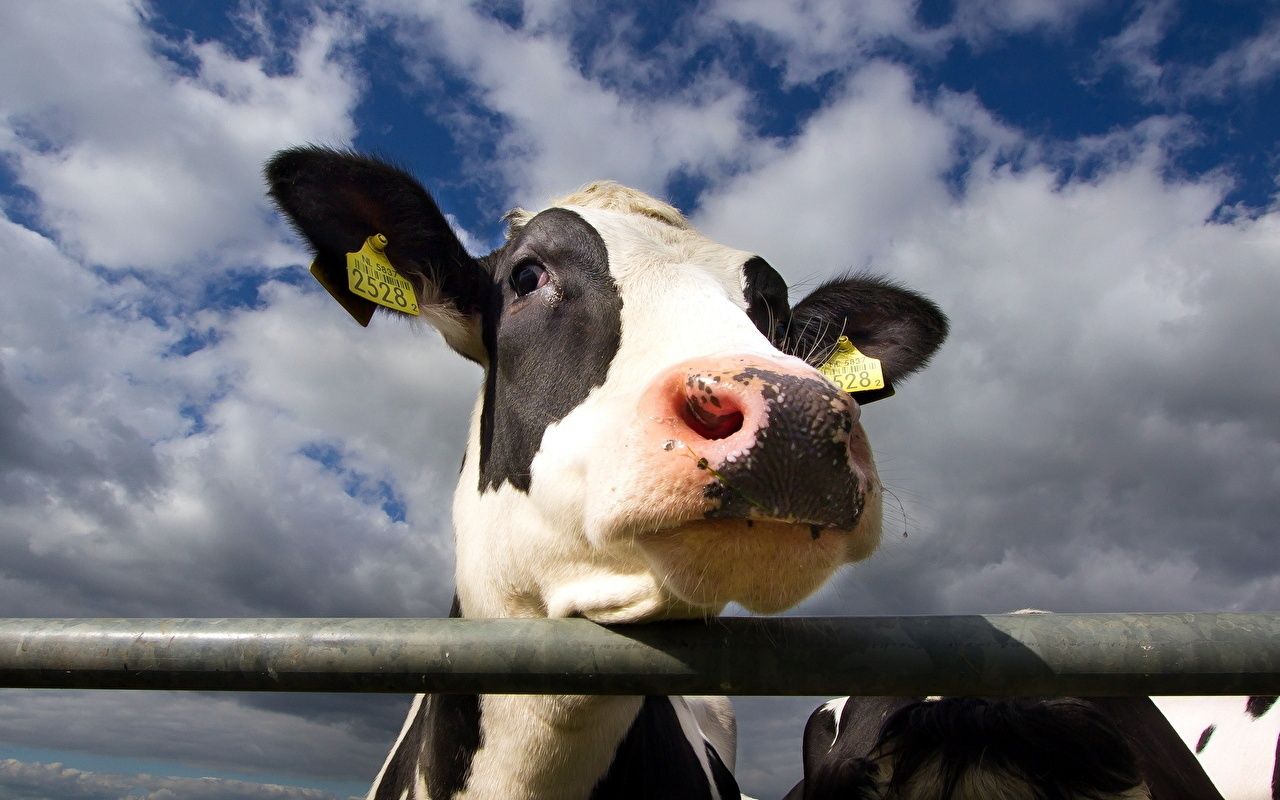 Предприниматели смогут почти вдвое увеличить кредитный портфель