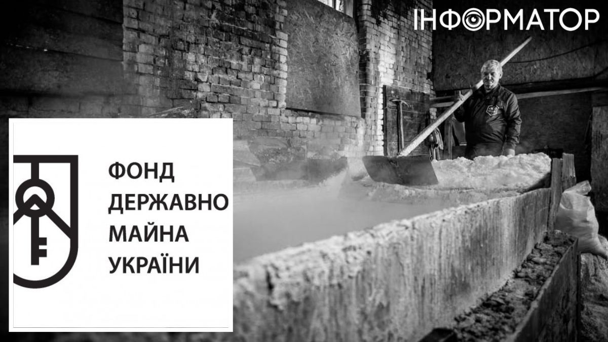 Фонд госимущества продает единственного производителя пищевой соли в Украине