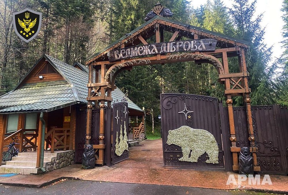 Для дачи Медведчука в Карпатах АРМА ищет управляющего: фото поместья 3