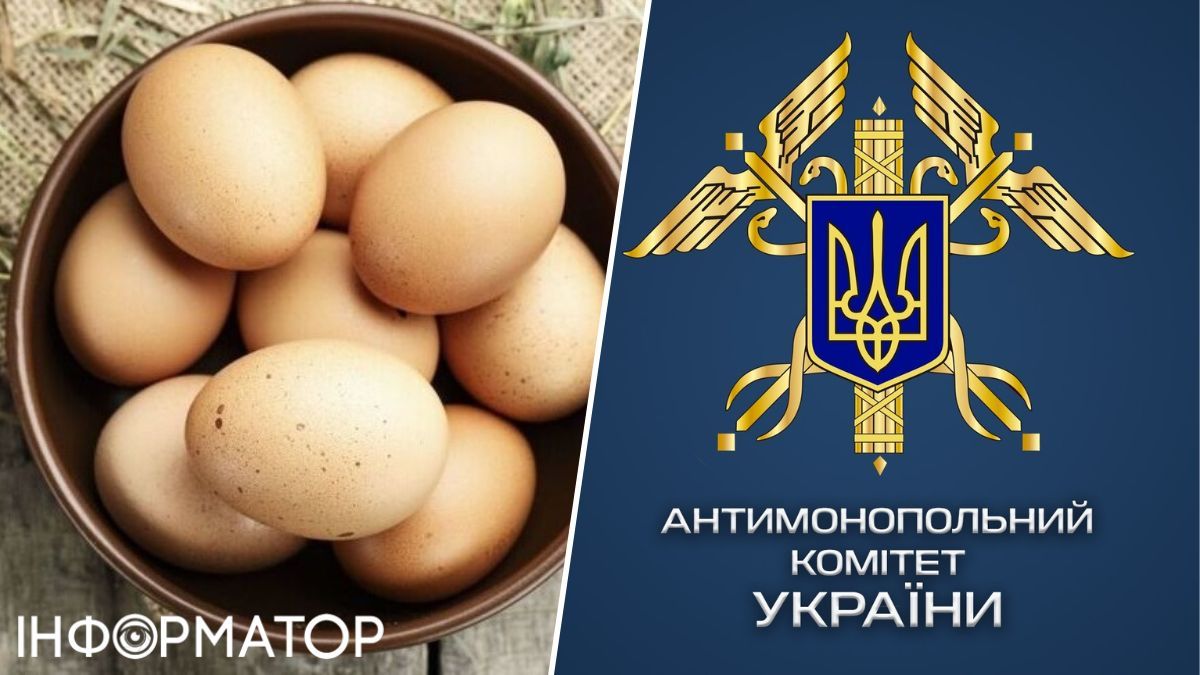 Чому подорожчали яйця у жовтні 2024 року: АМКУ розпочало розслідування