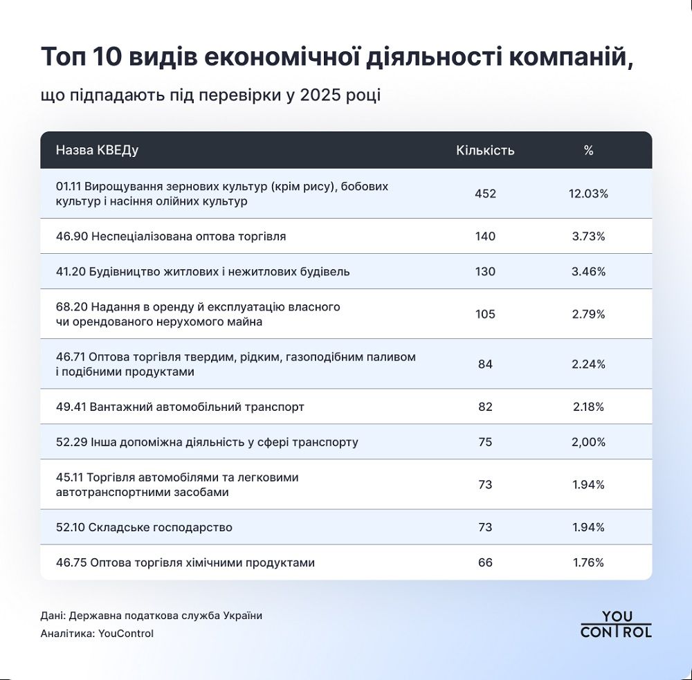Податкові перевірки 2025: кого перевірятимуть і як підготуватися 1
