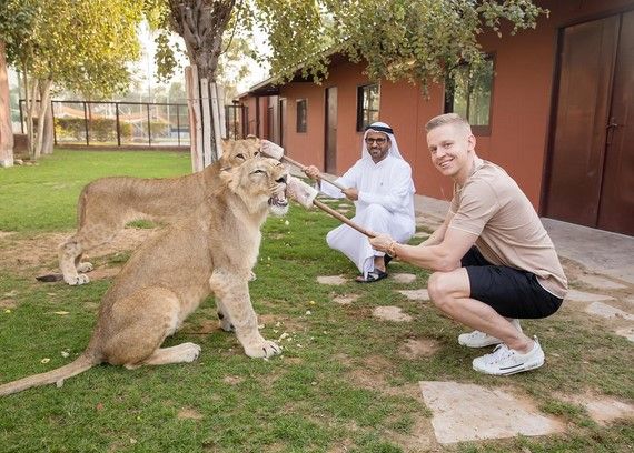 Травмированный Зинченко померялся силами с царем зверей 4
