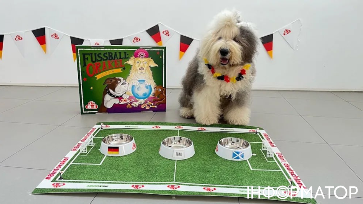 Пес, свинья и козел помогут тапиру Тео угадывать результаты матчей Евро-2024 2