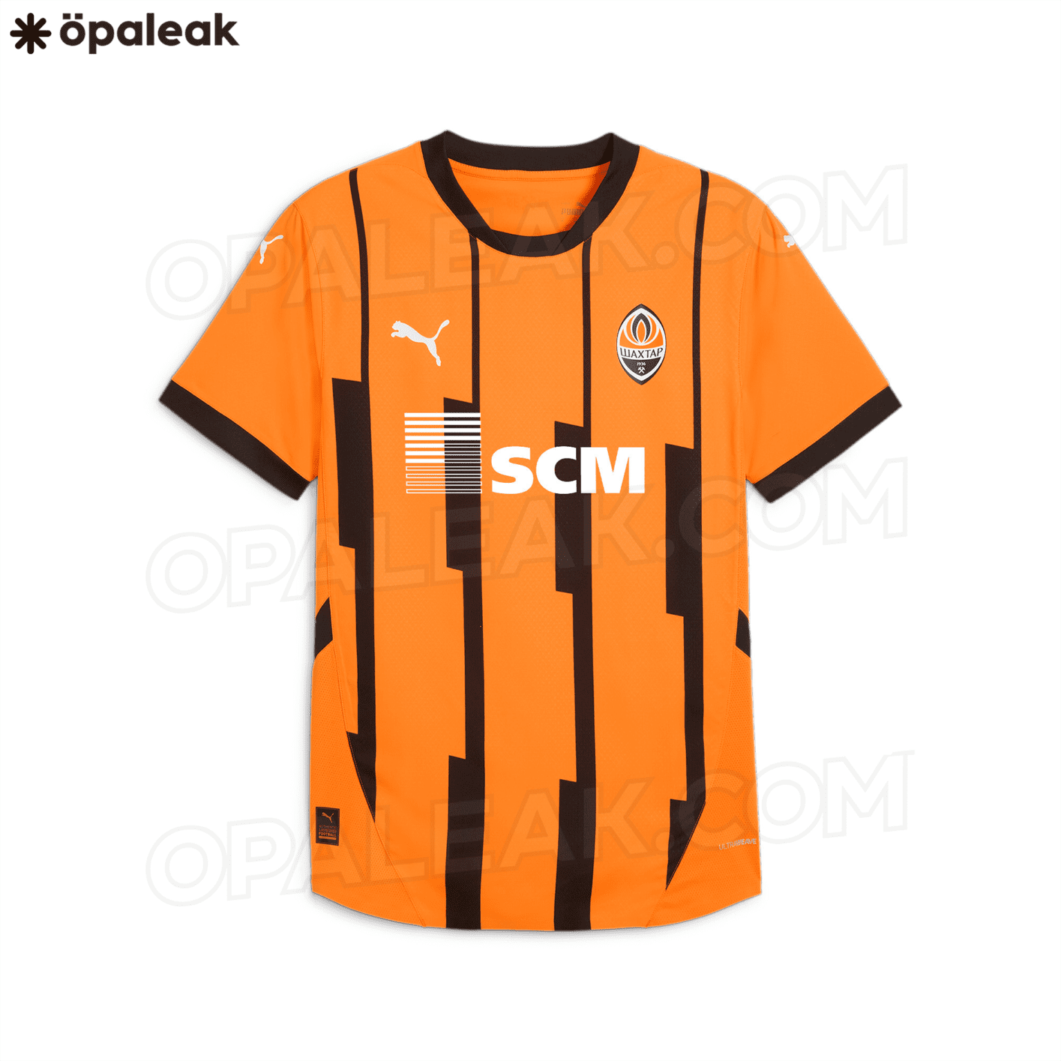 В сеть попала новая форма чемпионов Украины 1