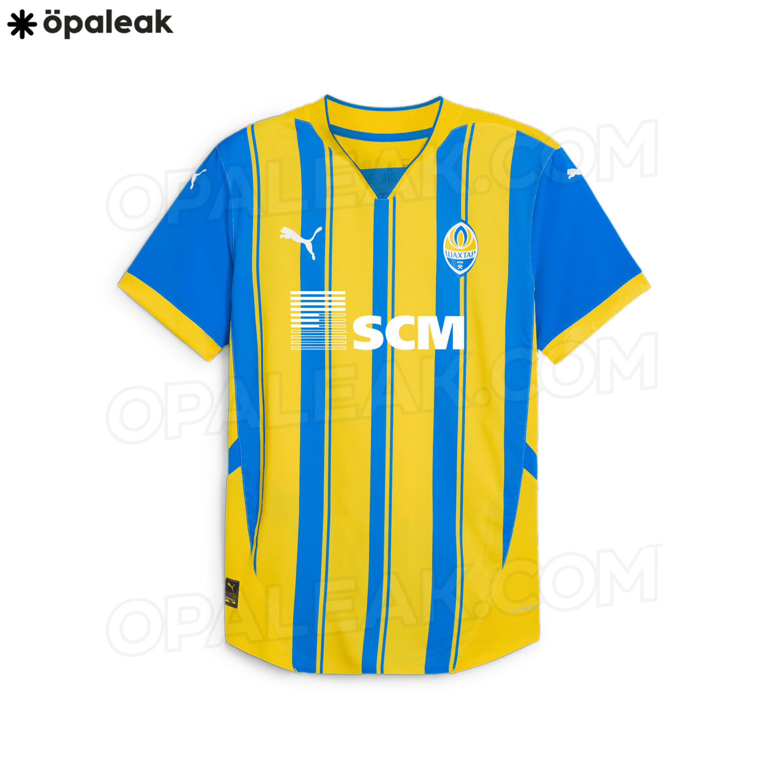 В сеть попала новая форма чемпионов Украины 5