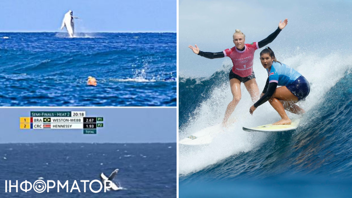Горбатый кит стал звездой соревнований серфингисток на Олимпиаде-2024 1