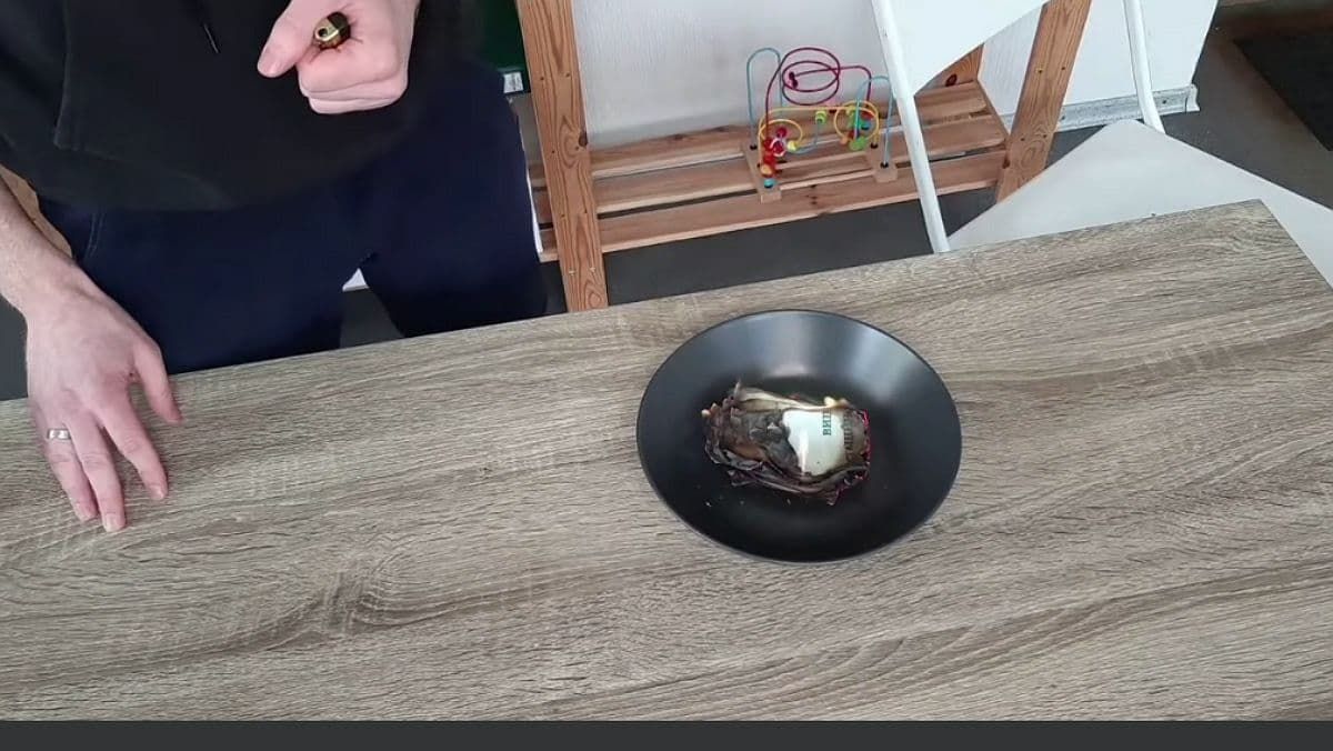 Спалення дипломів перетворилося у флешмоб. Ще один кандидат наук спалив свій документ, щоб не бути "в одному ряду з Ківою"