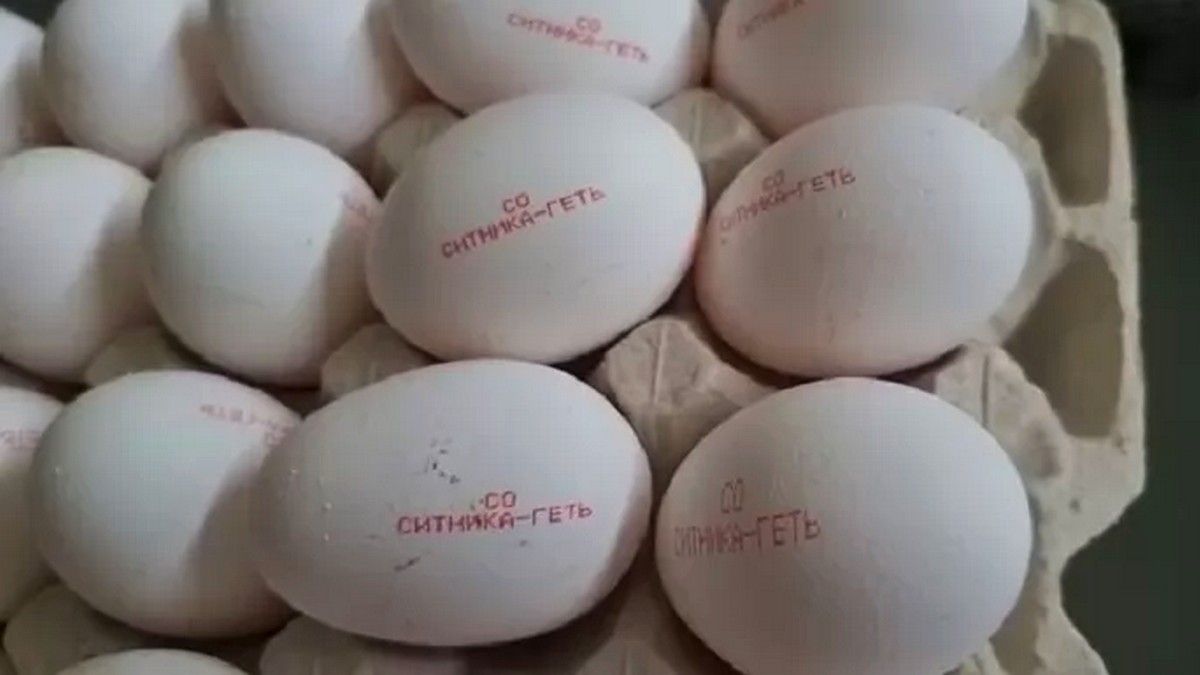 Месть директору НАБУ: агрохолдинг в Украине собирается выпустить миллиард яиц с надписью «Ситника геть»