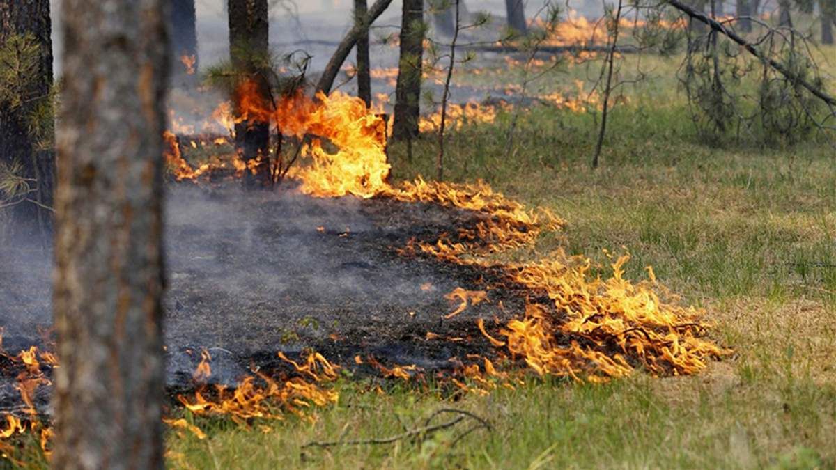 В Украине объявили чрезвычайный уровень пожарной опасности