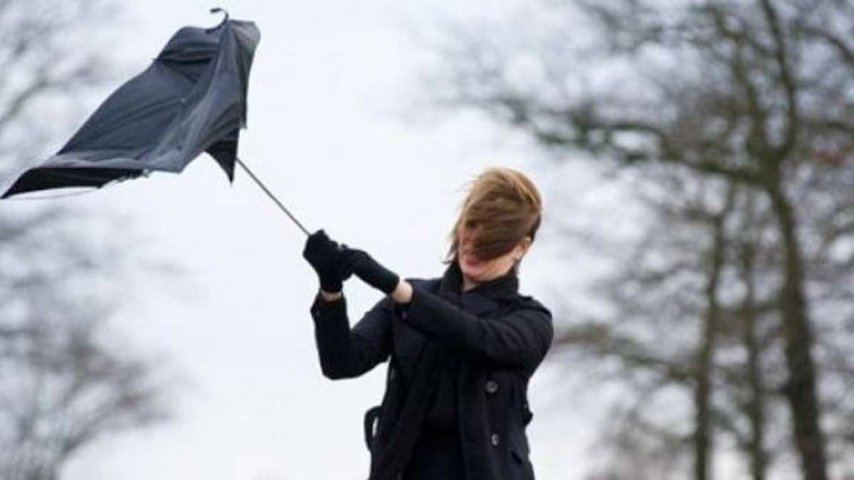 У Києві очікуються сильні пориви вітру  найближчої години