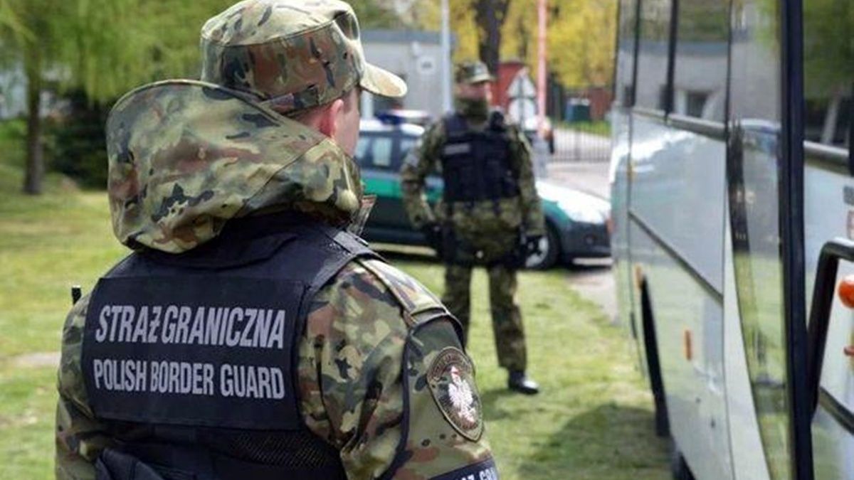 В Польше «накрыли» масштабную схему незаконной легализации украинцев