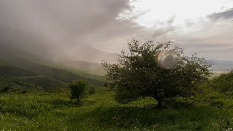 Грози та град: синоптики попередили про погіршення погоди в Україні