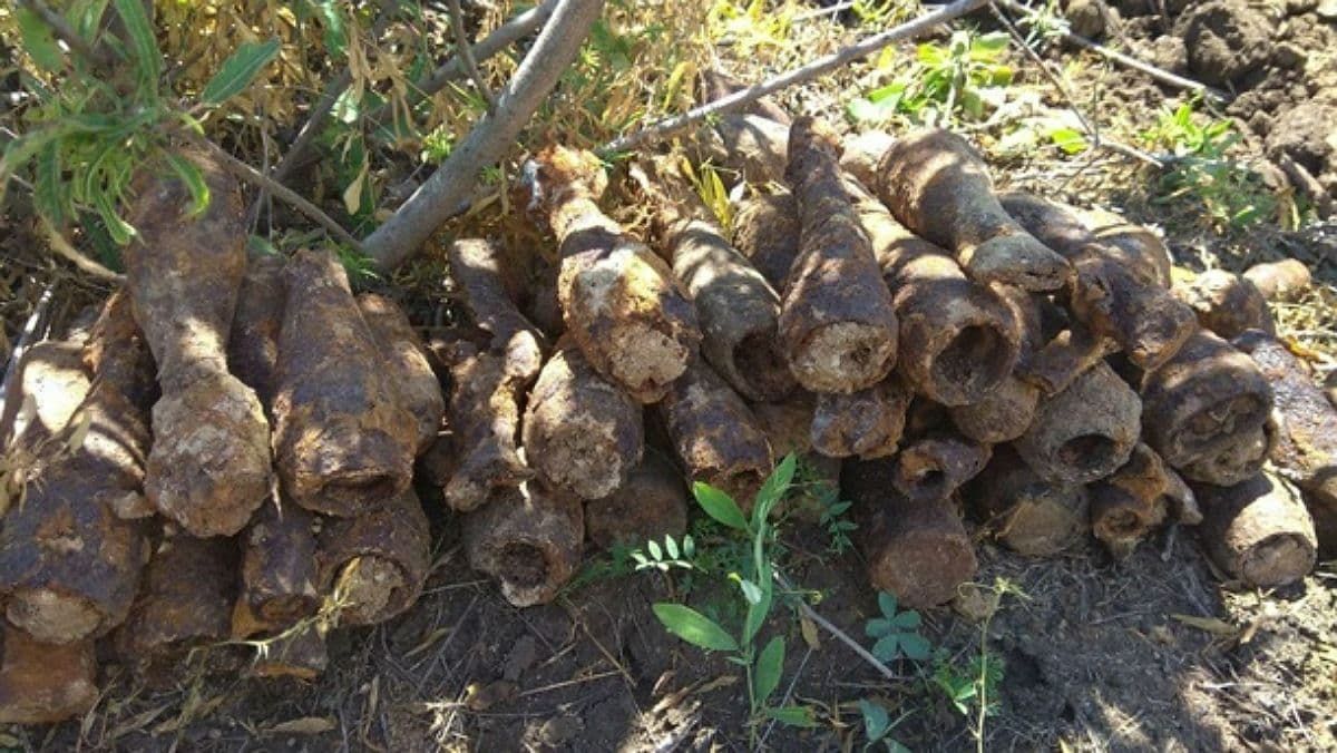 В Запорожской области нашли боеприпасы Второй мировой войны