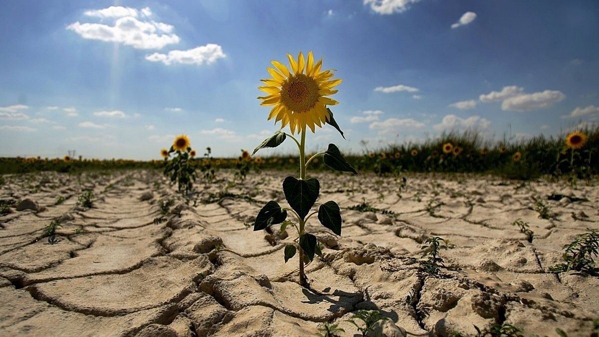 В Украину идет антициклон Afra: какой будет погода 29 июня