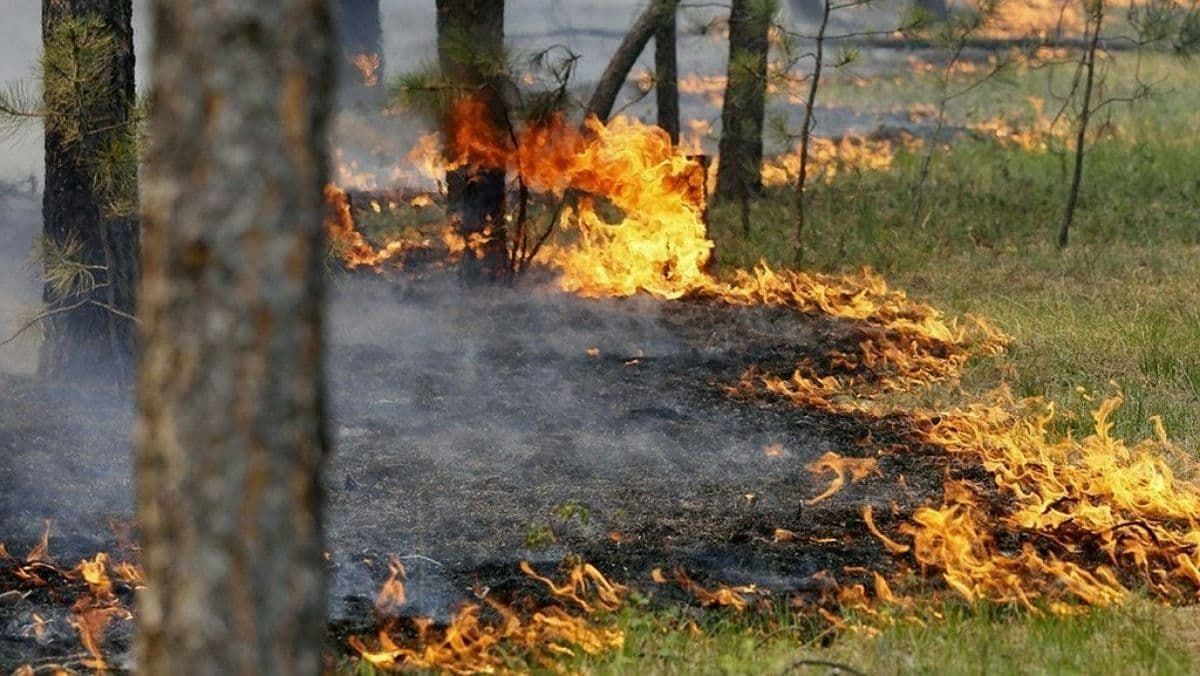 Синоптики попередили про надзвичайну пожежну небезпеку в Україні