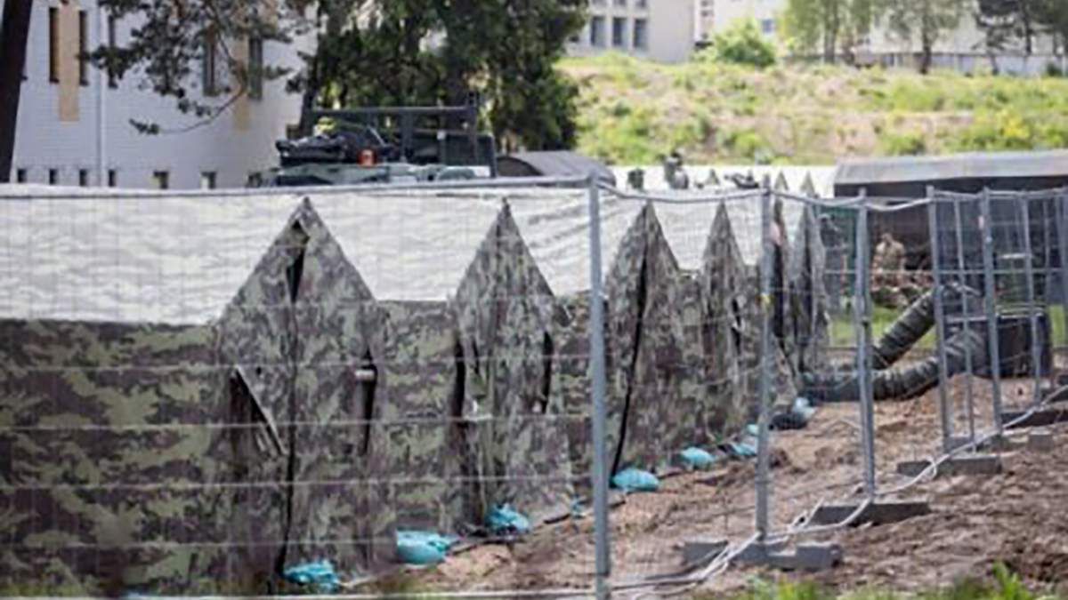 Парламент Литви оголосив наплив мігрантів у країні гібридною агресією режиму Лукашенка