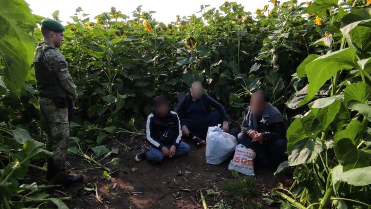 Переховувалися у соняшниках: під Харковом затримали злодія в законі Левана Гальського і кримінального авторитета