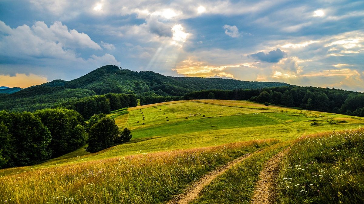 В какие города Украины приглашают туристов