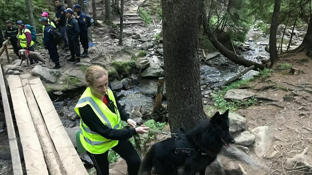 В Карпатах 6-летний мальчик отстал от группы туристов: его ищут второй день
