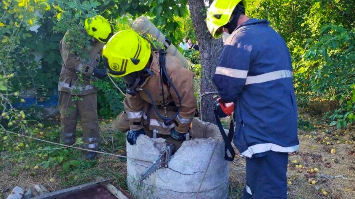 Пропавшую в Кировоградской области 16-летнюю девушку нашли мёртвой в заброшенном колодце