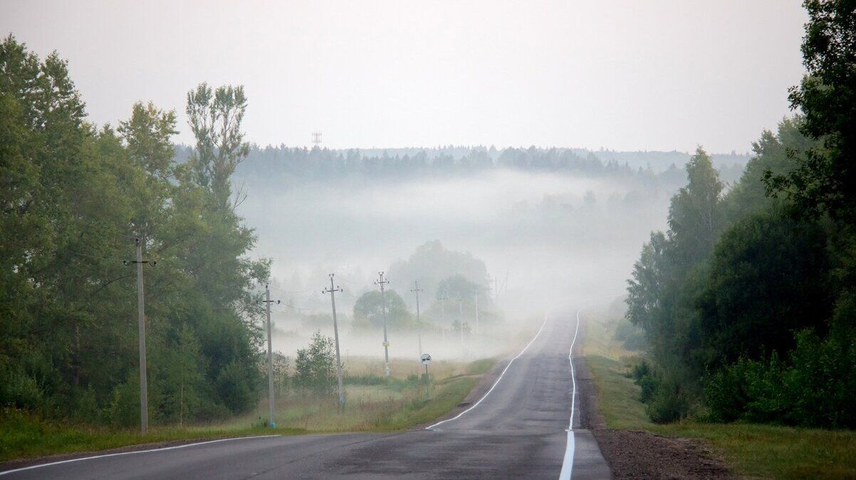Місцями тумани і дощі: погода в Україні на 29 серпня