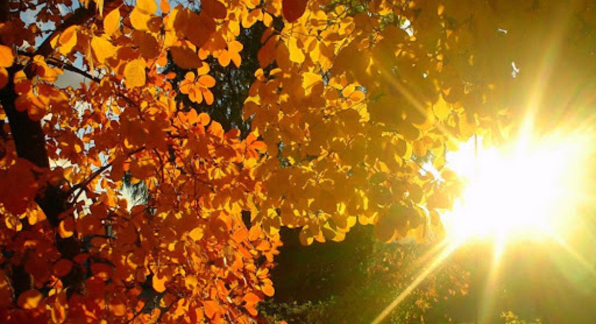 В Украину пришло устойчивое тепло: погода на 10 сентября