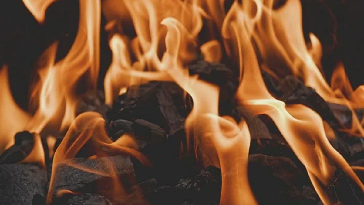 В Европе цены на уголь выросли до рекордного уровня за последние 13 лет