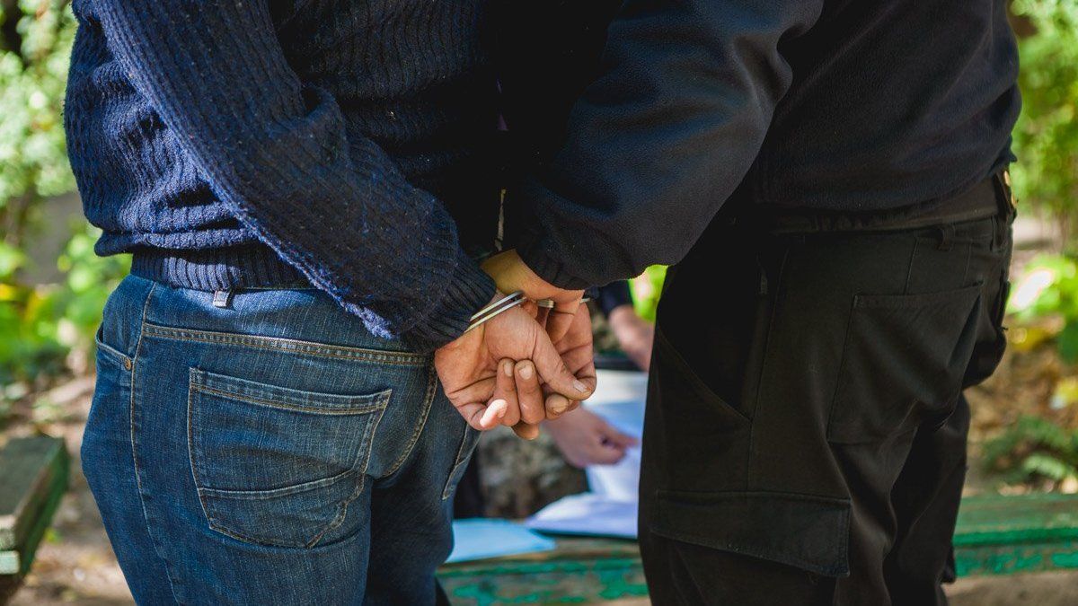 Чоловік, який обстріляв машину глави Держархіву в Києві, цілився в пташок