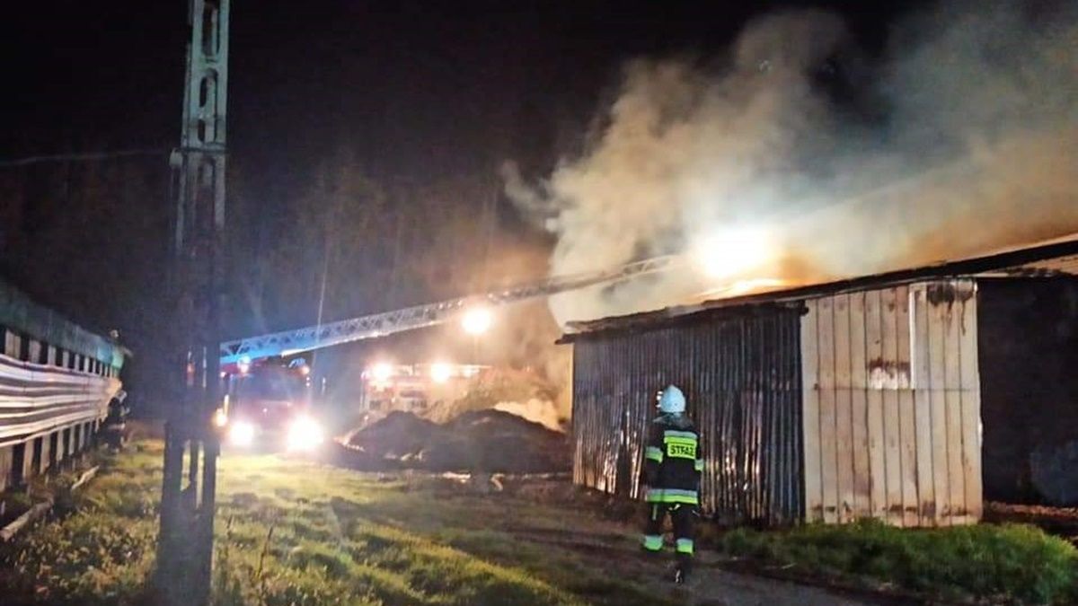 У Польщі троє українців підпалили птахоферму та скоїли злом магазину