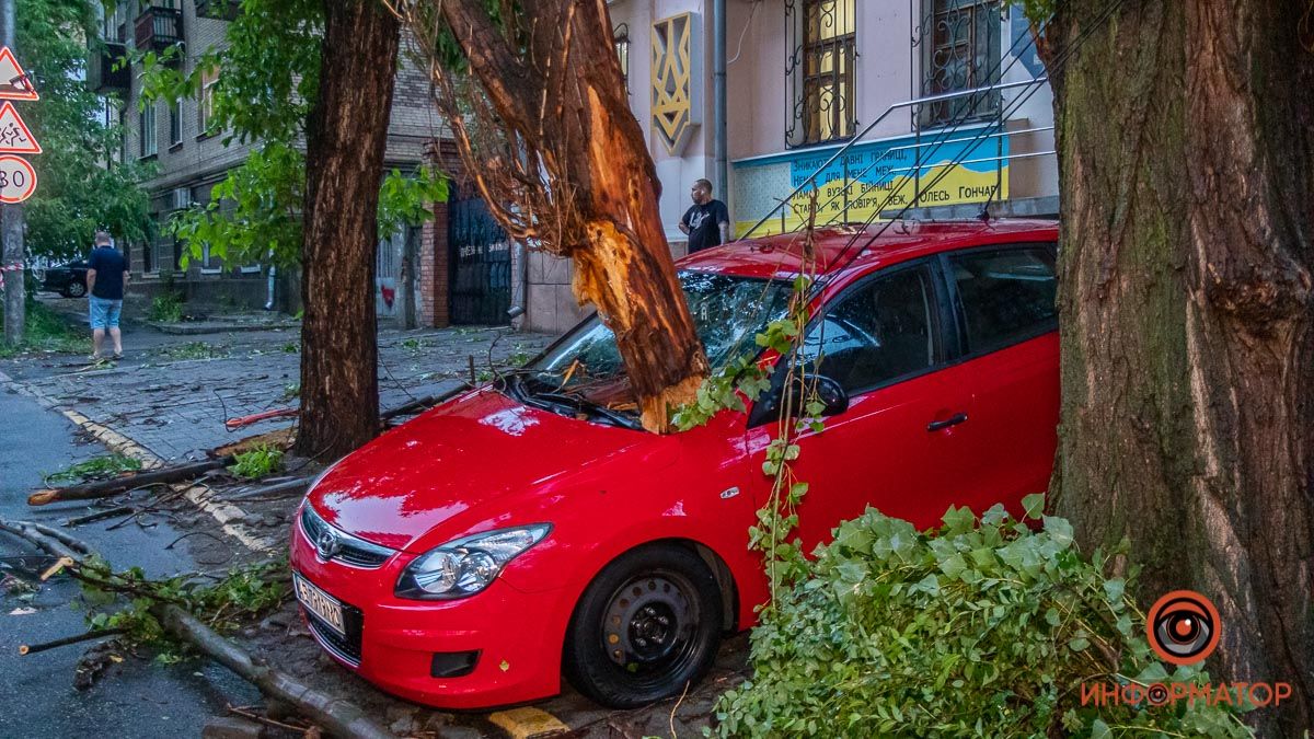 Що робити, якщо на ваш автомобіль впало дерево