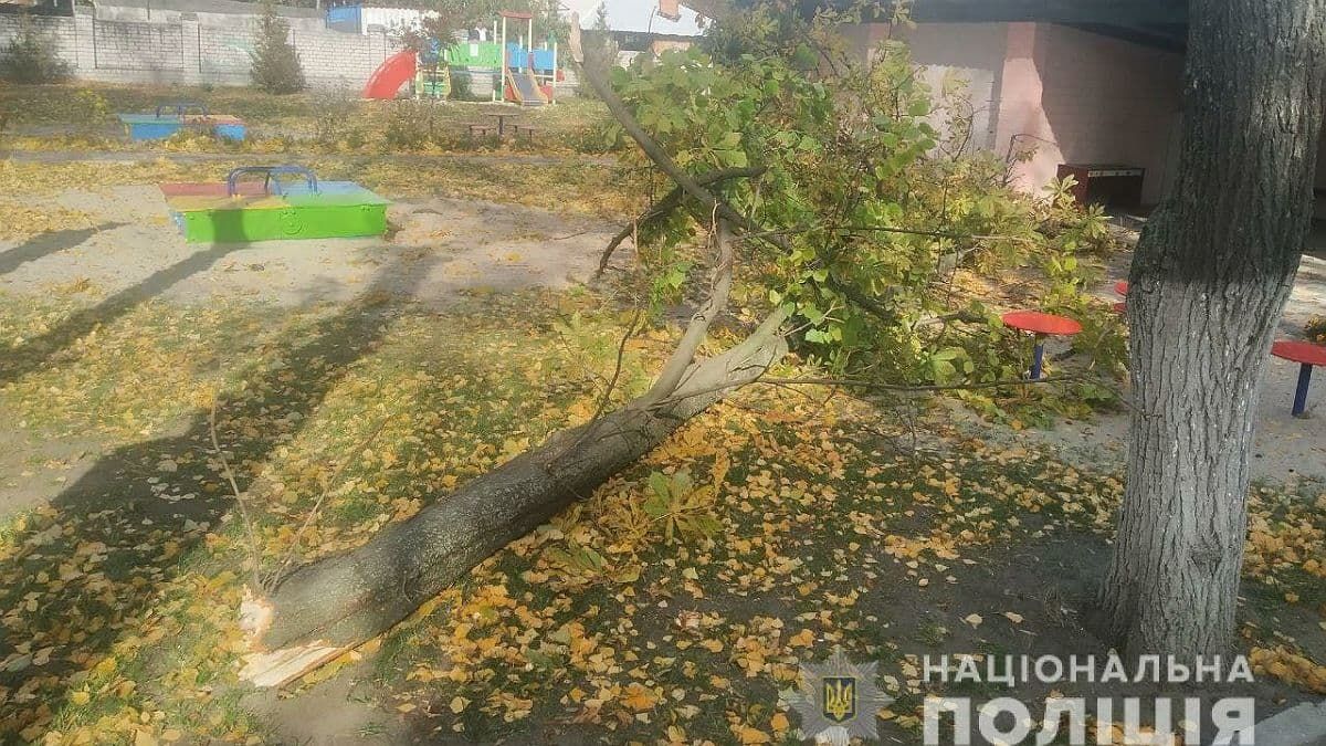 В детском саду Кременчуга на двух детей упало дерево: они в больнице