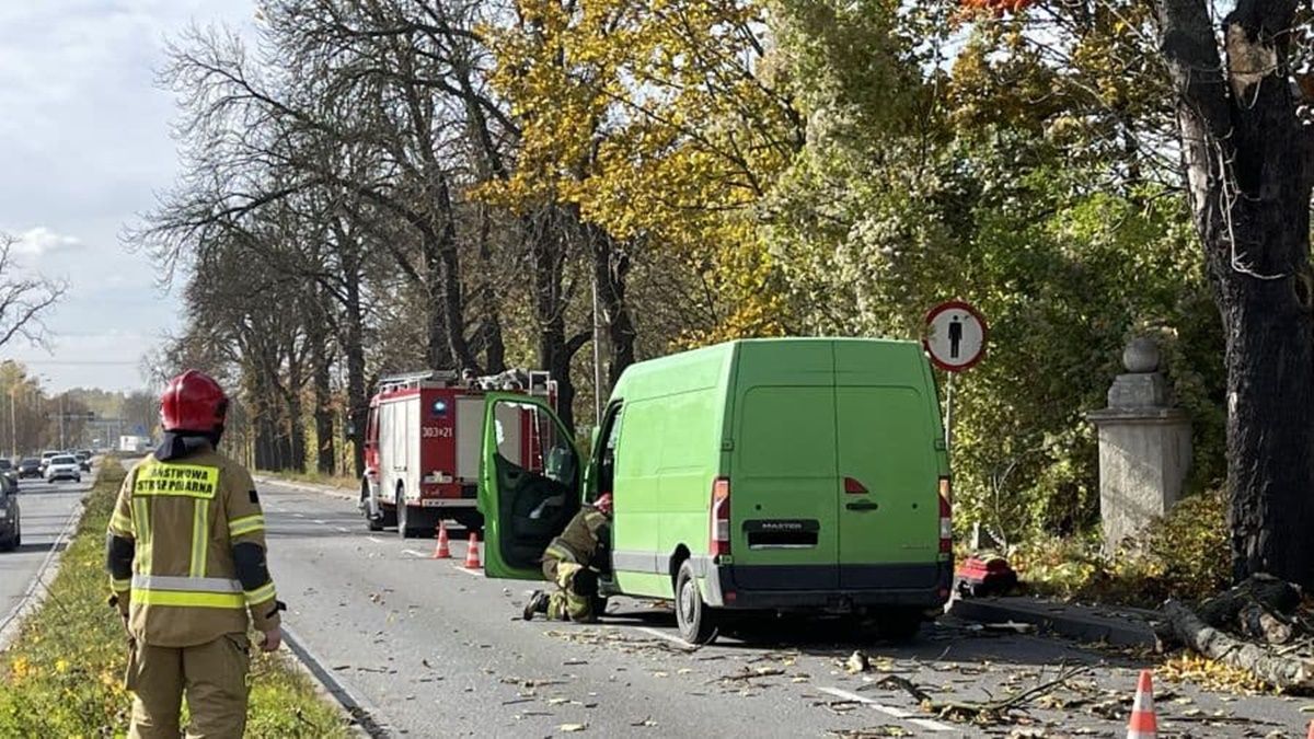 В Польше из-за урагана погиб украинец