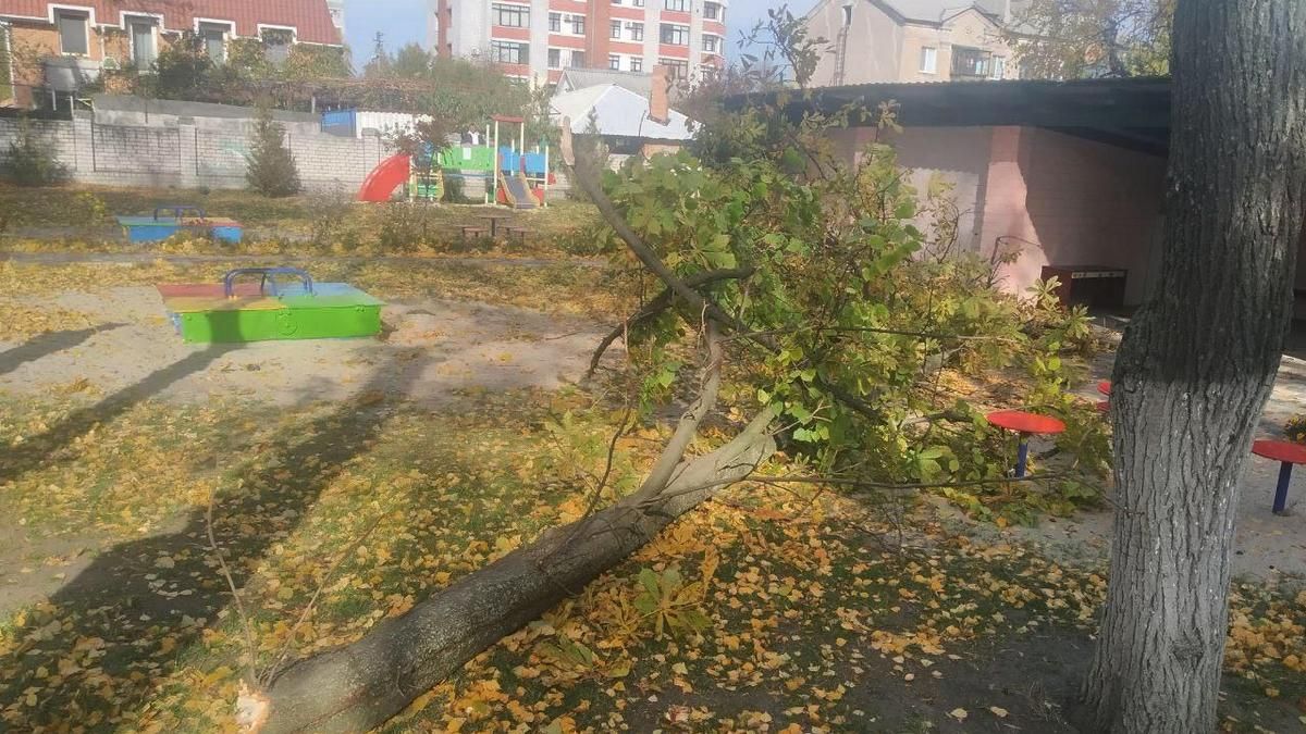 Девочка, на которую упало дерево в детском саду в Кременчуге, умерла в больнице