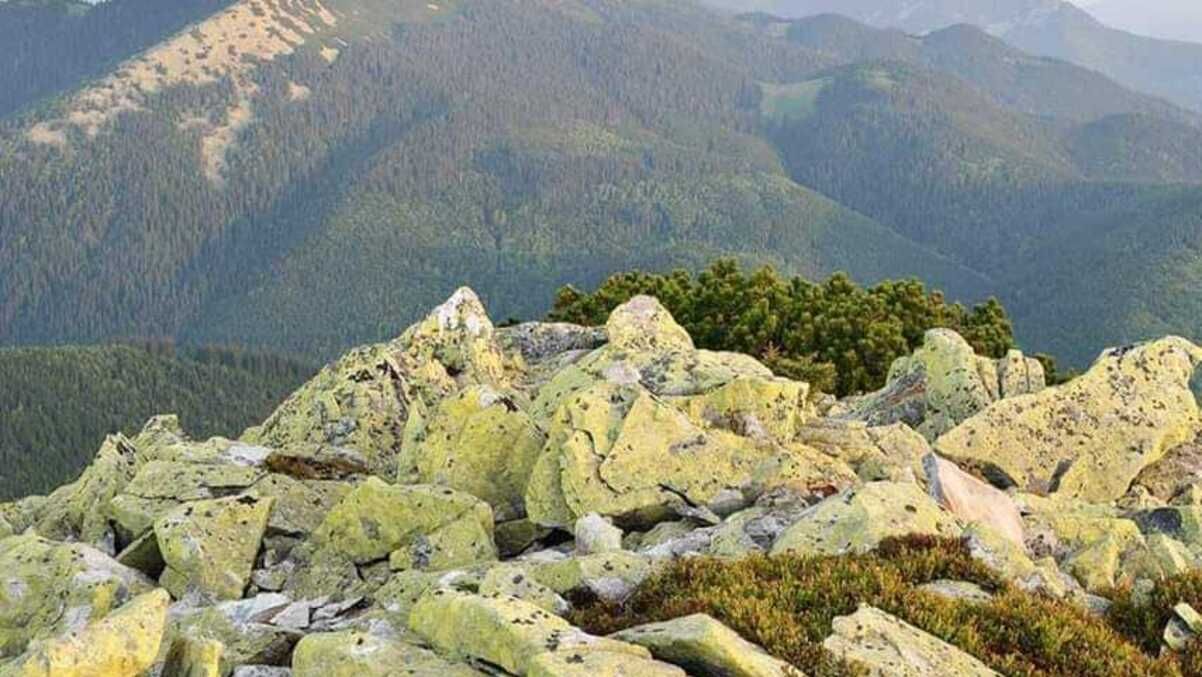 В Карпатах потерялся 12-летний мальчик